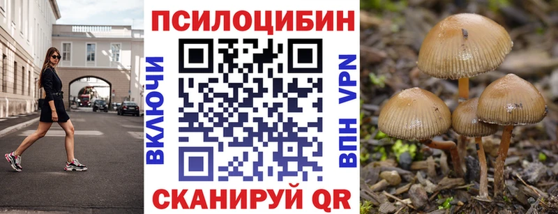 Псилоцибиновые грибы MAGIC MUSHROOMS  Новоалтайск 